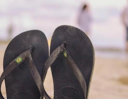 Un Petit Nid Les Pieds Dans L'Eau Apartment อาร์เจเลส-ซัวร์-แมร์ ภายนอก รูปภาพ